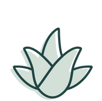 Aloe