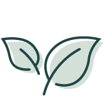 Green Tea Extract